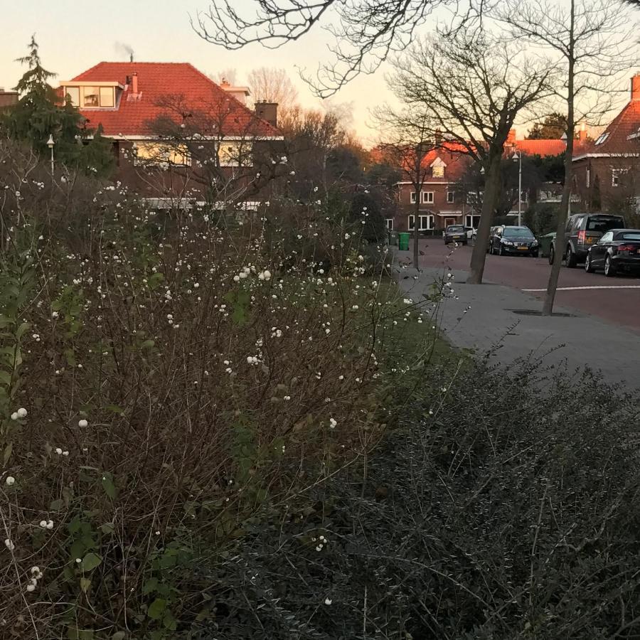 Bed and Breakfast Boutique Hide & Seek, Bed & Beach Den Haag Exterior foto